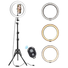 10-Inch LED Ring Light Stand