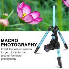 CT62 Portable Multifunctional Mobile Phone Camera Stand