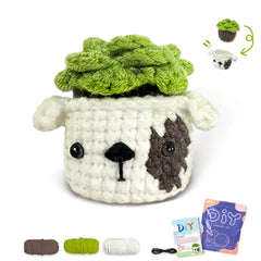 Animal Series Crochet Starter Kit For Beginners