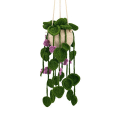 Crochet Hanging Plant Knitting Kit