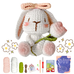 Animal Series Crochet Starter Kit For Beginners